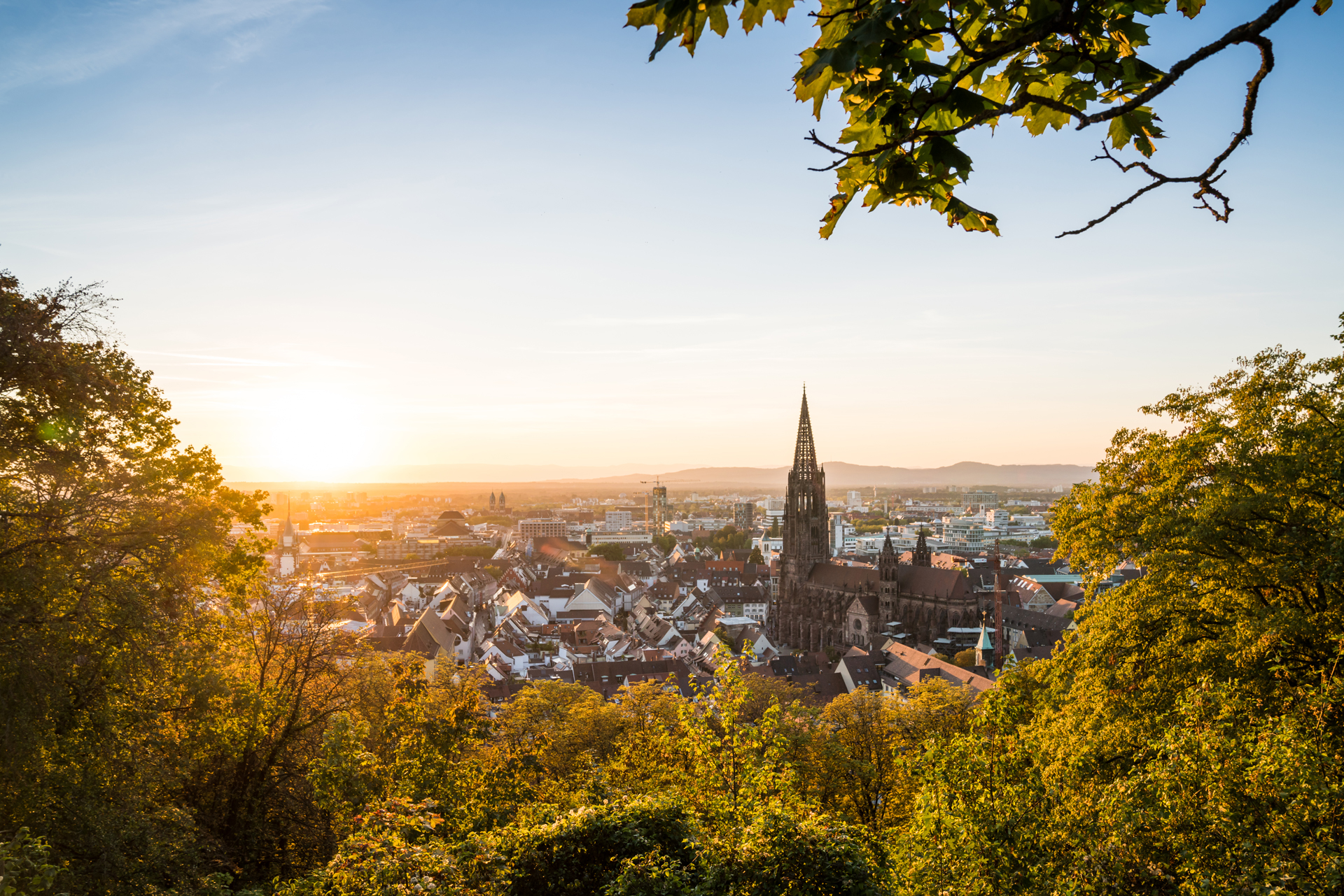 Freiburg Tourismus: Ihr Partnerportal - Copyright: FWTM-Baschi Bender